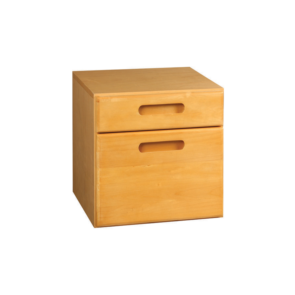 AMSEC 1335308 Stor-It 2 Drawer Storage Cabinet